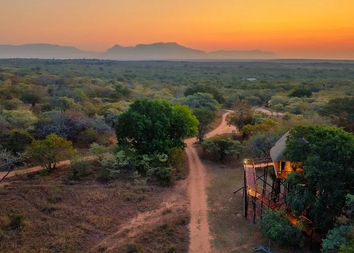 Pezulu Tree House Lodge