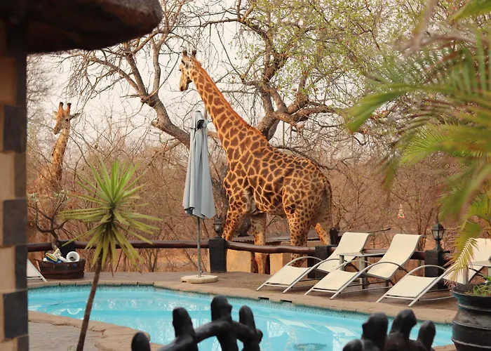 B&B African Rock Lodge